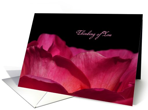 Thinking of You Always And Forever, Romatic Pink Rose Petals card