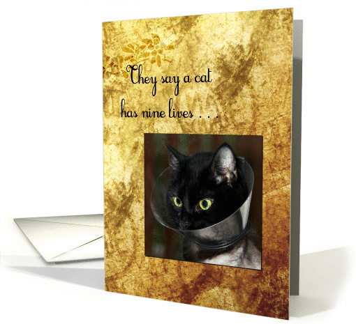 Get Well Soon Black Cat With Nine Lives Wearing An E-Collar Cone card