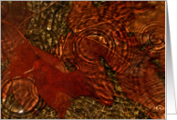 Autumn Leaves In A Puddle With Raindrops and Ripples card