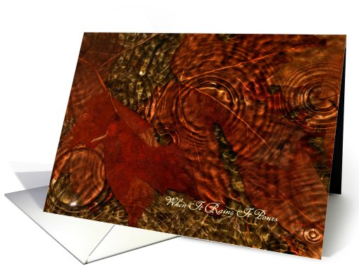 When It Rains It Pours Maple Leaves In Puddle With Ripples card