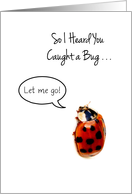 Funny Ladybug Get Well, Catch And Release card