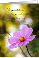 Congratulations On Custody, Niece - Pink Cosmos At Twilight card