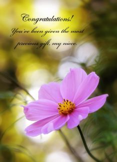 Congratulations On Custody, Niece - Pink Cosmos At Twilight