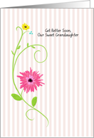 Get Better Soon, Our Sweet Grandaughter, Pink Gerbera Daisy Painting card