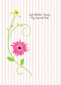 Get Better Soon, My Secret Pal, Pink Gerbera Daisy With Stripes