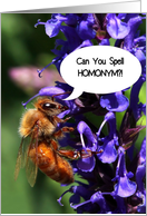 Spelling Bee Congratuations Funny Bee Can You Spell Homonym card