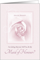 Will You Be My Maid Of Honour Delicate Pink Bridal Rose With Dew card