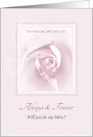 Always And Forever, Will You Be Mine, Delicate Pink Bridal Rose card