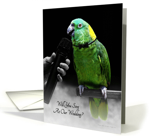 Cute Wedding Singer Invitatation, Parrot Singing Into Microphone card