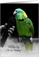 Cute Wedding Singer Invitatation, Parrot Singing Into Microphone card