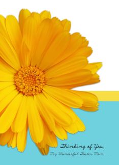 Thinking of You Foster Mom, Trendy Summer Blue And Yellow, Daisy