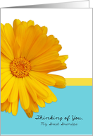 Thinking of You Great Grandpa, Trendy Summer Blue,Yellow, Daisy card