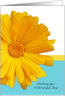 Wishing You A Wonderful Day, Trendy Summer Blue And Yellow Daisy card