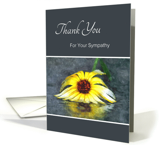 Thank You For Your Sympathy, Yellow Daisy Mirror... (939683)