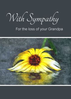 Sympathy For Loss Of...