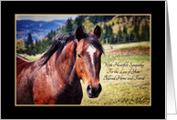 Sympathy For Loss of Beloved Pet Horse Beautiful Bay Mare card