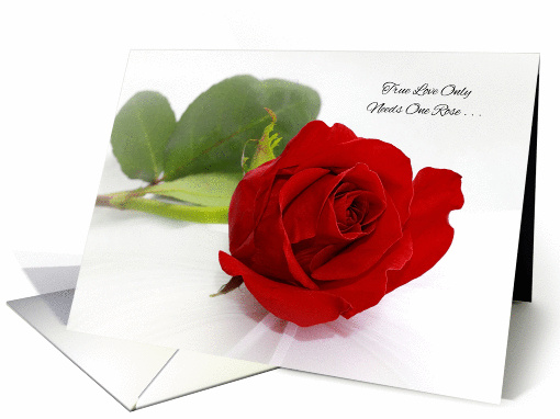 Marriage Proposal Will You Marry Me? Single Red Rose card (990703)