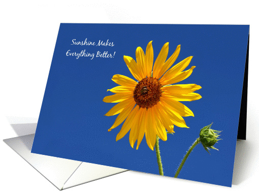 Cheerful Get Well, Bright Yellow Sunflower In The Sunshine card