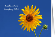 Cheerful Get Well, Bright Yellow Sunflower In The Sunshine card