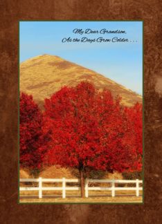 Autumn Greetings Thinking of You Grandson Warms My Heart