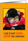 Halloween - Cat in Count Dracula (Catula) Costume card
