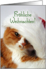 Frhliche Weihnachten - Cat in Santa Hat card