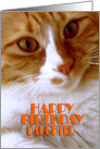 Happy Birthday Daughter - Sweet Cat card