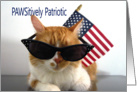 Presidents’ Day - PAWSitively Patriotic Cat card