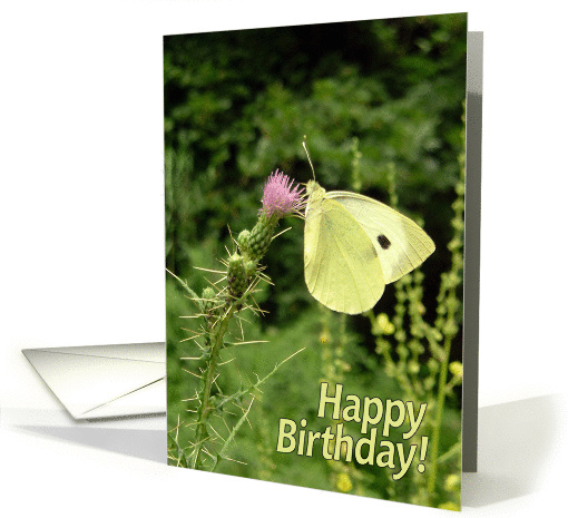 Birthday General - Butterfly On A Thistle card (830034)