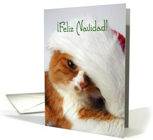 Feliz Navidad - Cat in Santa Hat card (874920)