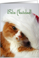 Feliz Navidad - Cat...