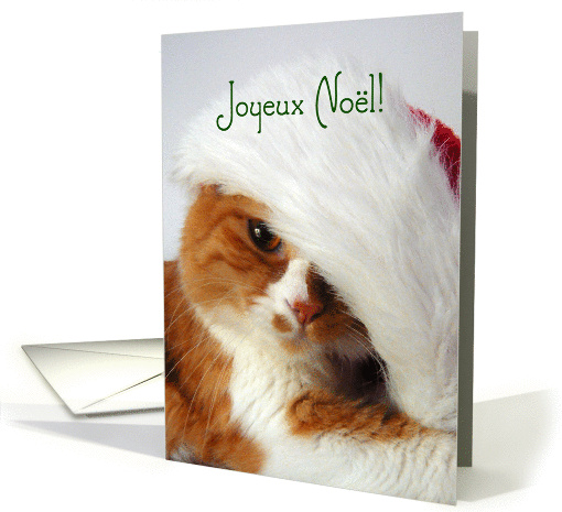 Joyeux Nol - Cat in Santa Hat card (874924)