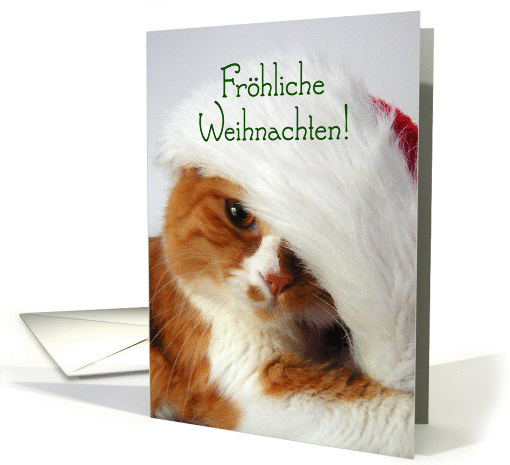 Frhliche Weihnachten - Cat in Santa Hat card (874930)