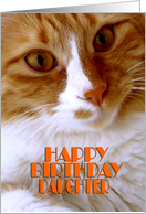 Happy Birthday Daughter - Sweet Cat card