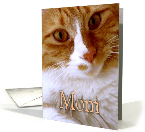 Happy Mother's Day - Sweet Cat card (890731)