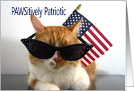 Presidents’ Day - PAWSitively Patriotic Cat card
