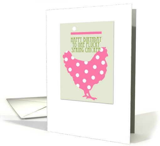 happy birthday spring chicken card (817780)