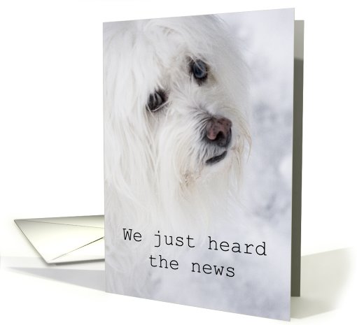 Loss of Pet - From Us card (823398)