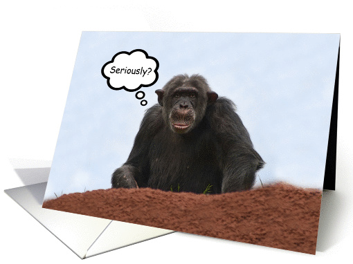 Happy 21st Birthday - Seriously? card (955565)
