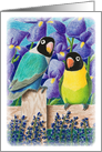 Black Faced Love Birds card