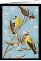 Gold Finch on Seed Pod card