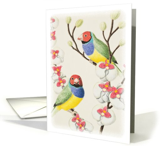 Gouldian Finch card (906362)