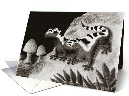 Marbled Salamanders on Rock card (906450)