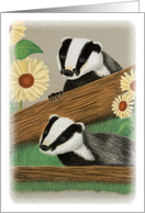 Badgers card