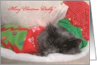 Cat - Holiday card