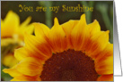 Birthday-Sunshine Sunflower card