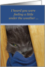 Get Well-Grey Cat Under the Weather card