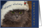 Happy Holiday-Hanukkah-grey cat card