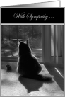 With Sympathy-loss of pet-grey cat card