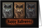 Cat-Halloween Card